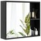 Wall Mounted Bathroom Medicine Cabinet with Single Mirror Door and 2 Inside Adjustable Shelves